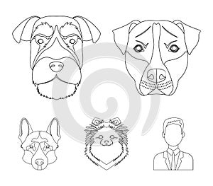 Muzzle of different breeds of dogs.Dog breed Stafford, Spitz, Risenschnauzer, German Shepherd set collection icons in