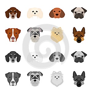 Muzzle of different breeds of dogs.Dog breed Stafford, Spitz, Risenschnauzer, German Shepherd set collection icons in