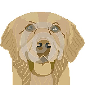Muzzle, Labrador breed dog silhouette drawn by squares, pixels. Vector illustration