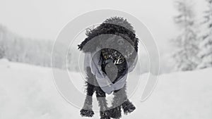 Muzzle of poodle dog running in slow motion on snow