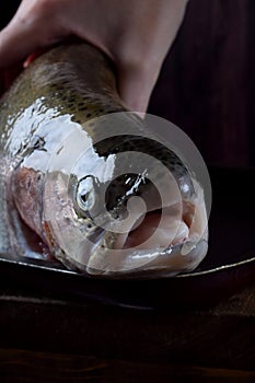 Muzzle of raw lacustrine trout