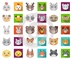 Muzzles of animals cartoon,flat icons in set collection for design. Wild and domestic animals vector symbol stock web