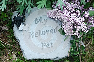 My Beloved Pet Memorial with Lilacs