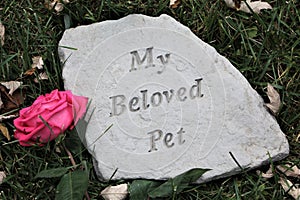 My Beloved Pet Memory Stone with Pink Rose