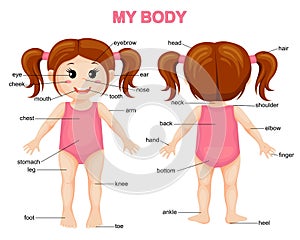 My body. Cute cartoon girl. Body parts poster