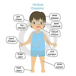 My Body Parts Bilingual, Boy Cartoon Vector photo