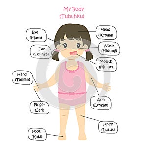 My Body Parts Bilingual, Girl Cartoon Vector