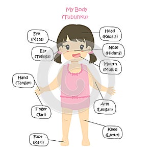 My Body Parts Bilingual, Girl Cartoon Vector photo