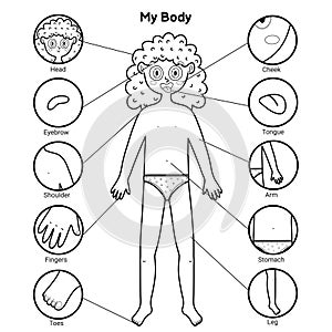 My body parts black and white educational poster with a girl. Learning human body