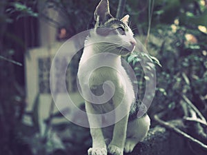 My Brushes used in art.