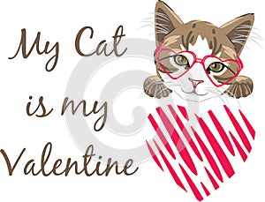 My cat is my Valentine. Funny festive design