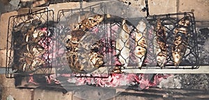 My Dinner Grilled Fish