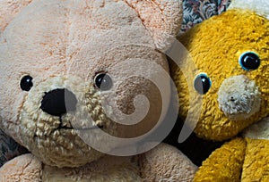 My favorite Teddies Rose and Ronnie