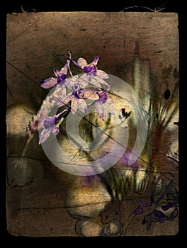 My flower background hargita otto photo