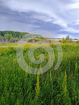 My front Yard by Darling Photography