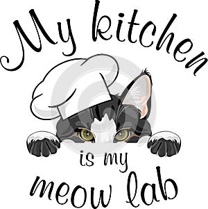 My kitchen is my meow lab photo