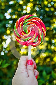 My Lollipop