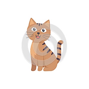 My lovely cat vector illustration design