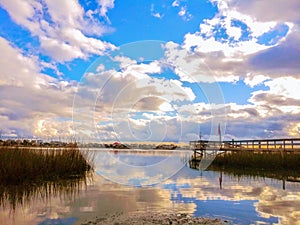 My murrells inlet marsh view