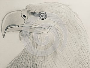 My painting with pencil