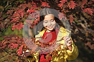 My perfect autumn. United with nature. Little child walk in autumn park. Autumn season leisure. Atmosphere of autumn
