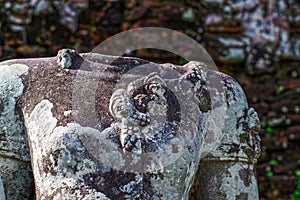 My Son - hinduism ruines