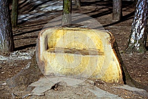 My space in nature: big wooden bench amongst trees