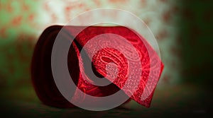 My tie My Collections