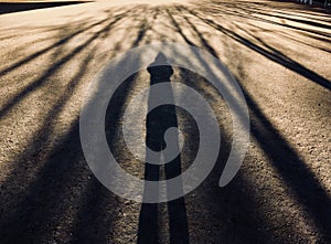 My under the tree shadow.