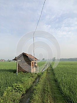 My Village Catching Sunrise