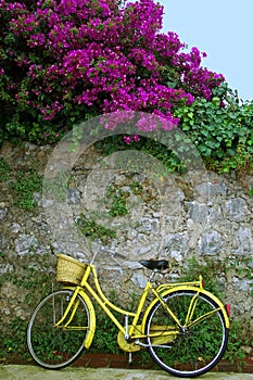 My yellow bicycle