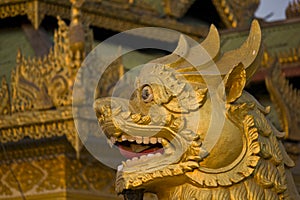 Myanmar Lion of the Temple