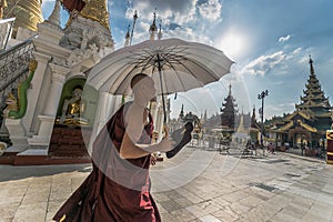Myanmar monk