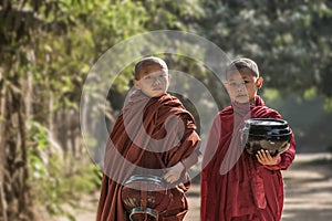 Myanmar monk