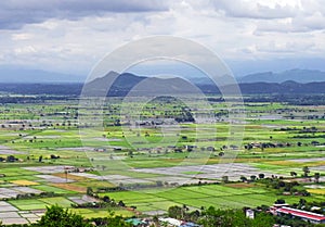 Myanmar Rice Fields