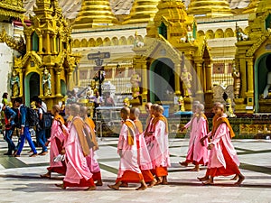 Myanmar temples and statutes