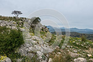 Mycenae archaeological site in Greece