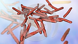 Mycobacterium leprae bacteria