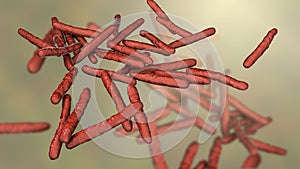 Mycobacterium leprae bacteria