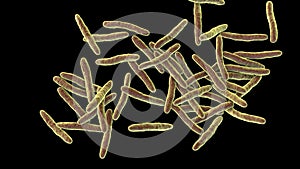 Mycobacterium ulcerans, the causative agent of Buruli ulcer, 3D illustration photo