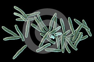 Mycobacterium ulcerans, the causative agent of Buruli ulcer, 3D illustration photo