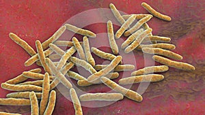 Mycobacterium ulcerans, the causative agent of Buruli ulcer, 3D illustration photo