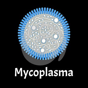 Mycoplasma. Bacterial infections Mycoplasma. Sexually transmitted diseases. Infographics. Vector illustration on
