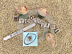 Mycotoxins Binders in Animal feed. photo