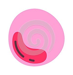 Myeloblast Human Cell