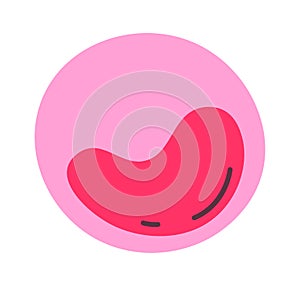 Myeloblast Human Cell