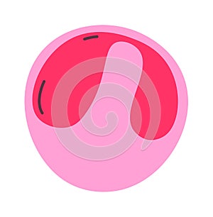 Myeloblast Human Cell