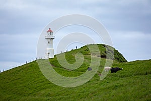 Mykines lighthouse and cliffs on Faroe islands. Hiking landmark. Denmark