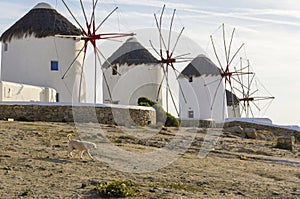 Mykonos windmills, Chora, Greece photo