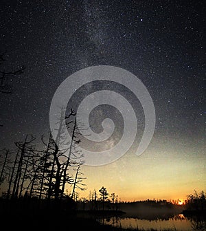 Milky way Night sky stars observing over swamp photo